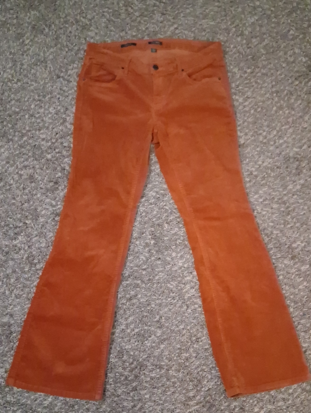 wild fable Rust Corduroy Flare Pants